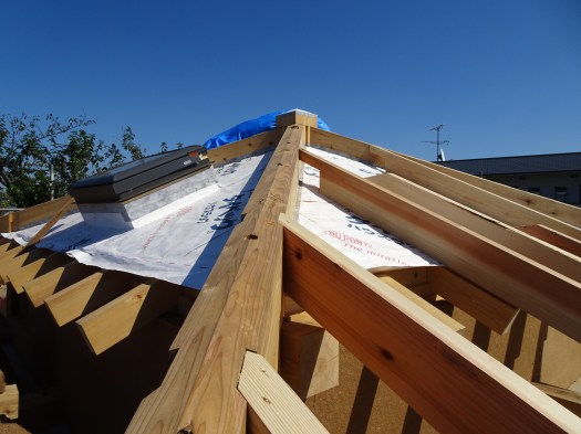 ひさびさの快晴