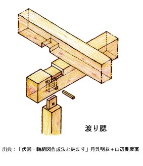 渡り腮スケッチ