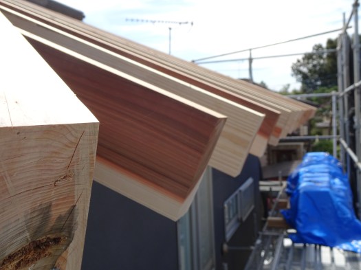 MSH増築垂木鼻先